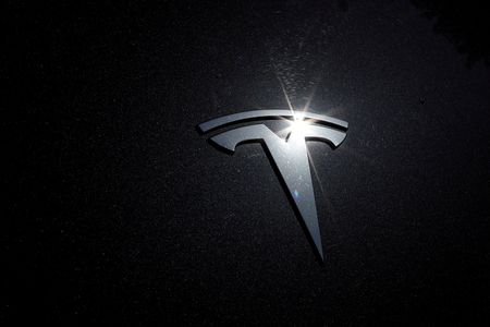 Elon Musk e Tesla iniciam construção de enorme refinaria de lítio no Texas