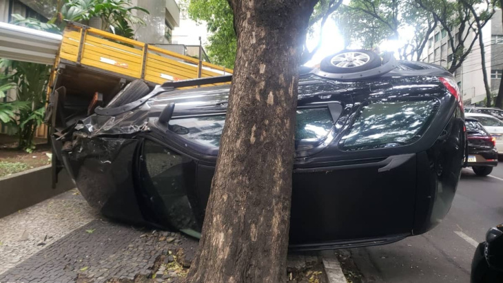 caminhão perde freio e prensa veículo em árvore no bairro de lourdes, em bh