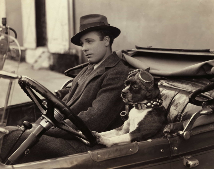 fotos fofas de cachorros e carros do passado para melhorar seu dia