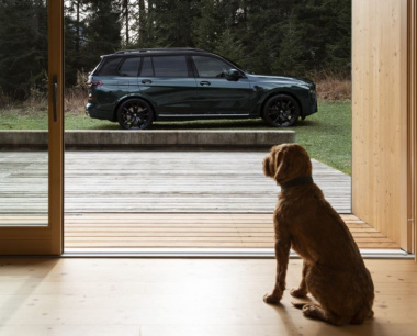 BMW X7 Poldo Dog Couture Edition, o melhor amigo do cão